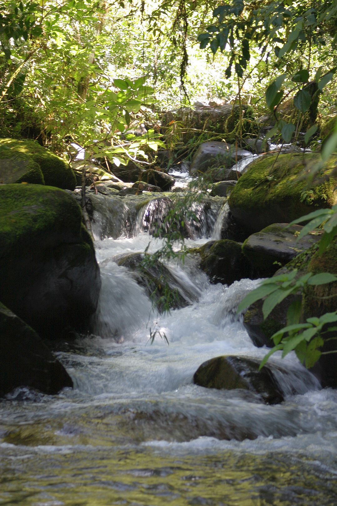 Kajak, Fluss Chirripo Pacifico, Abschnitt Chimirol - Los Gemelos (Unterer Chirripo)