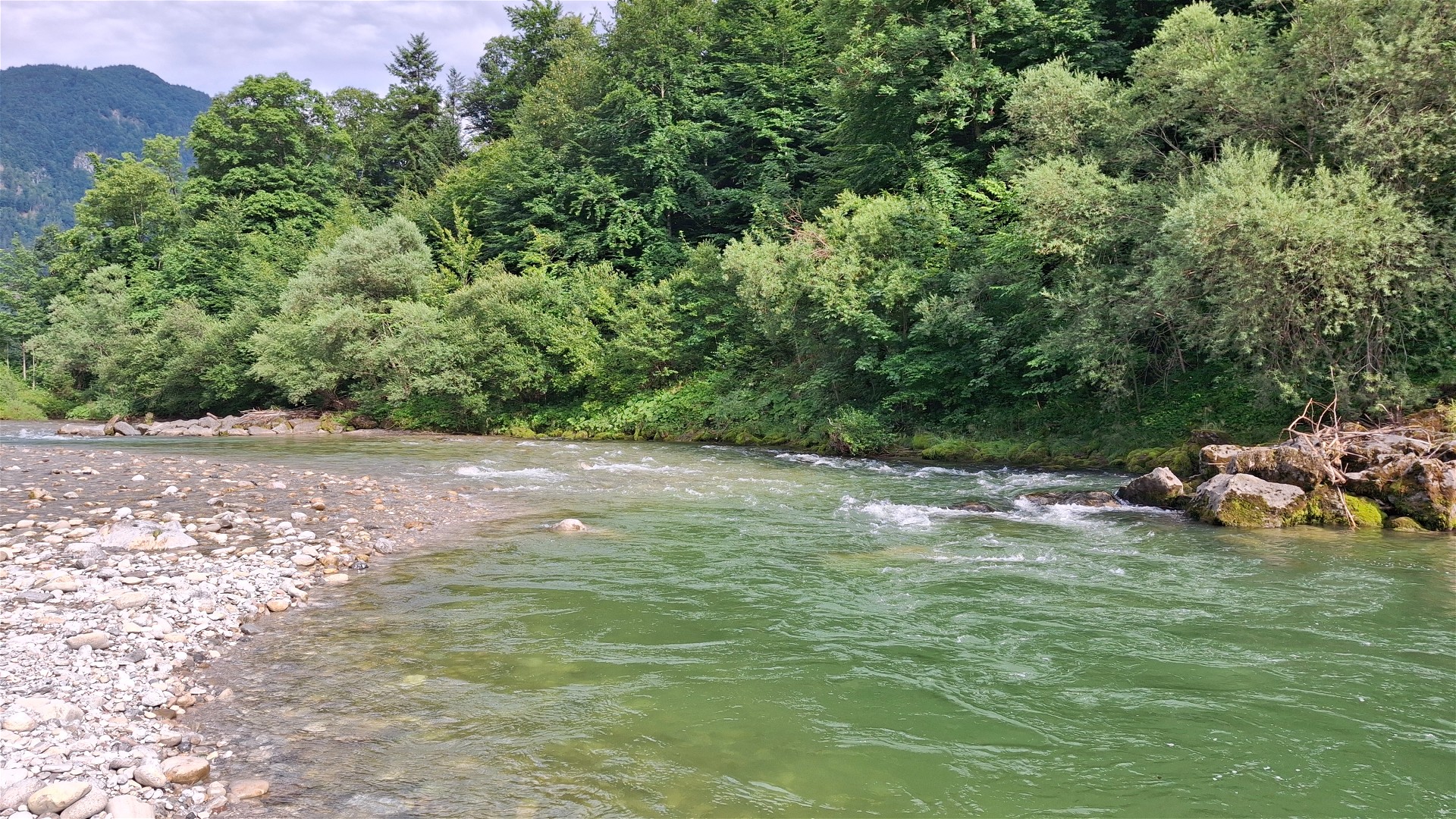 © Thomas R. 13.7.25 Kajak, Fluss Lammer, Abschnitt Oberscheffau - Unterscheffau (Untere Lammer) leichte Schwälle