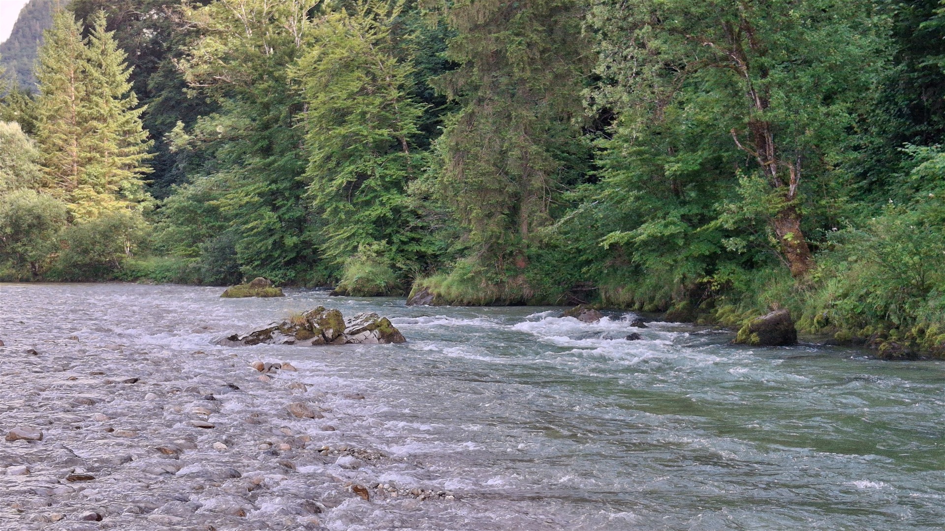© Thomas R. 13.7.25 Kajak, Fluss Lammer, Abschnitt Oberscheffau - Unterscheffau (Untere Lammer) Felsblöcke kurz vor dem Ausstieg