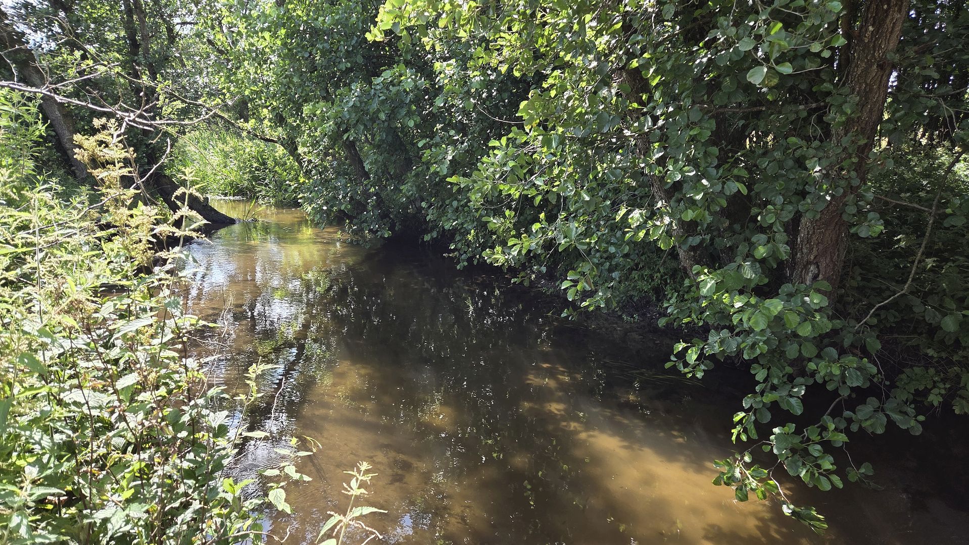 Kajak, Fluss Lindenborg Å, Abschnitt Rebild - Støvring beim Einstieg 