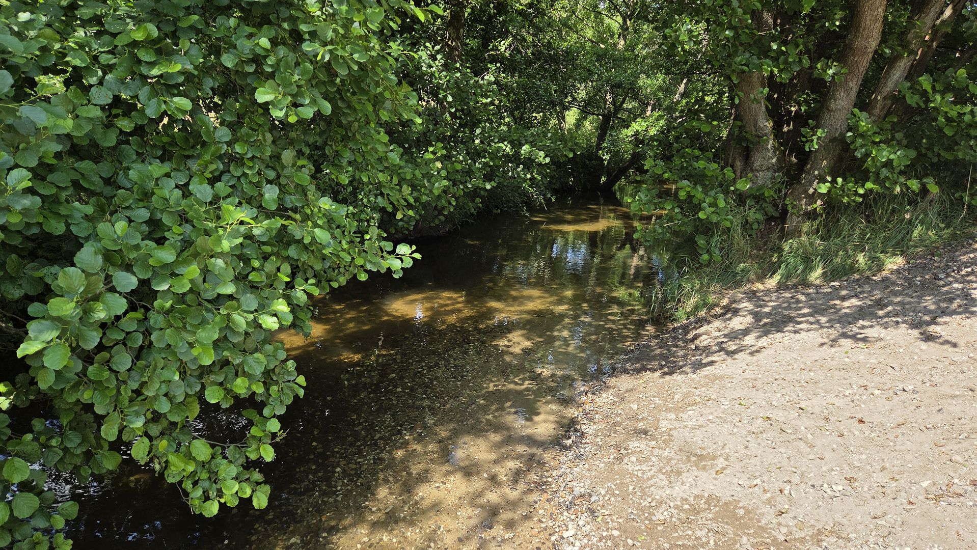 Kajak, Fluss Lindenborg Å, Abschnitt Rebild - Støvring NW, aber fahrbar am Einstieg 