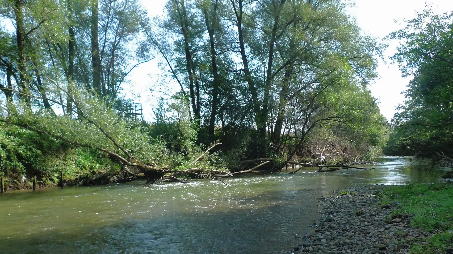 Kajak, Fluss Kainach, Abschnitt Lieboch - Wildon (Unterlauf) typisches Baumhindernis 