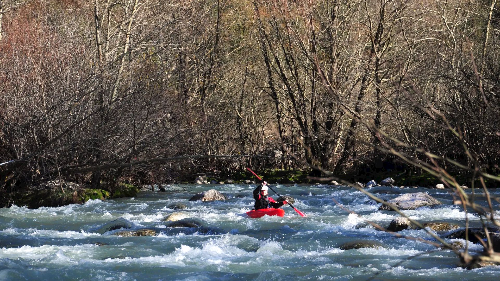 © Christoph S. 3.3.17 Kajak, Fluss Metsovitikos, Abschnitt Megalo Peristeri - Baltouma (Unterlauf) schnelles Wildwasser gesäumt von Auwald