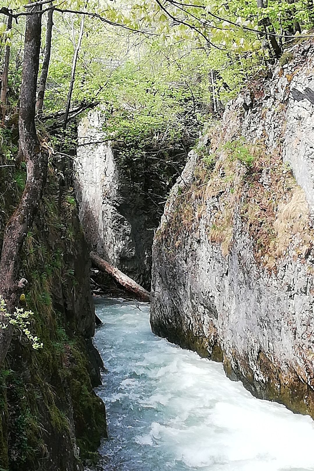 Kajak, Fluss Thur, Abschnitt Starkenbach - Stein (Oberste Thur Klammstrecke)