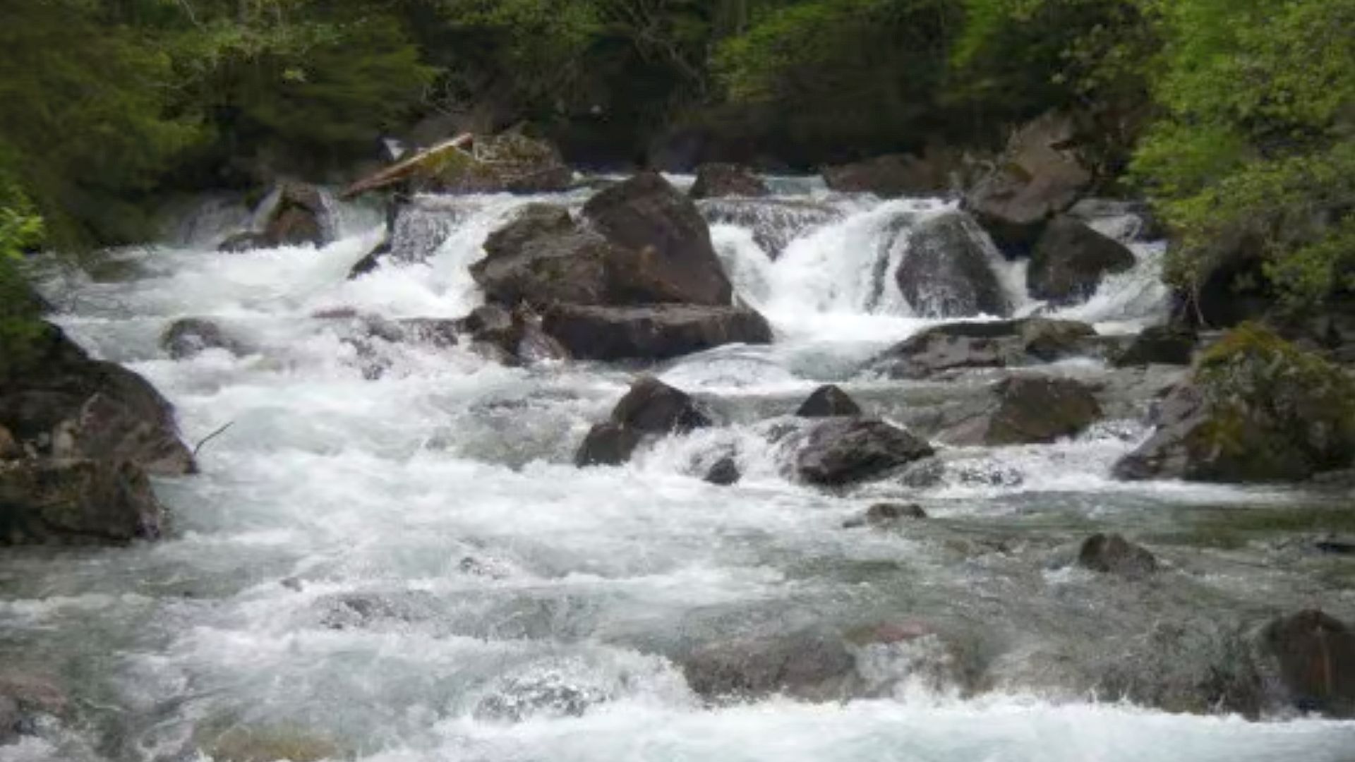 Kajak, Fluss Obertalbach, Abschnitt Oberlauf Engstelle kurz nach dem Einstieg 