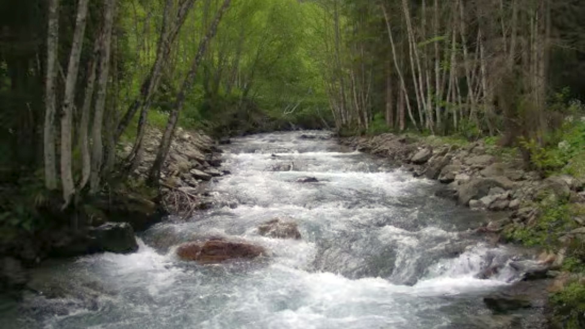 Kajak, Fluss Obertalbach, Abschnitt Oberlauf im Mittelteil 