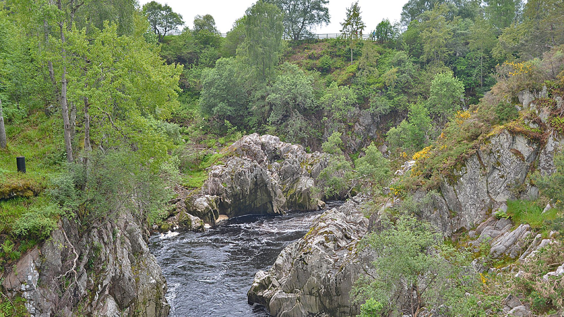 Kajak, Fluss Findhorn, Abschnitt Dulsie Bridge - Logie Brigde (Upper)