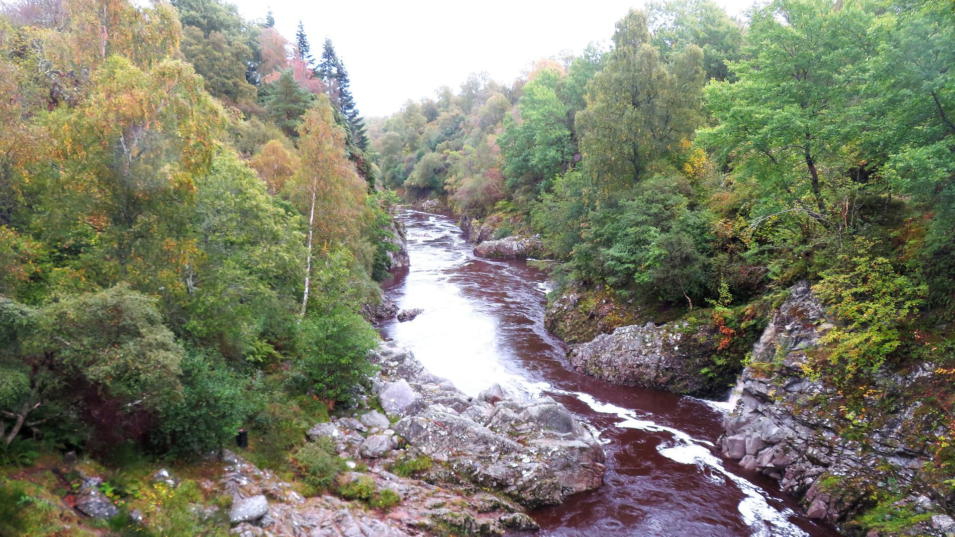 Kajak, Fluss Findhorn, Abschnitt Dulsie Bridge - Logie Brigde (Upper)