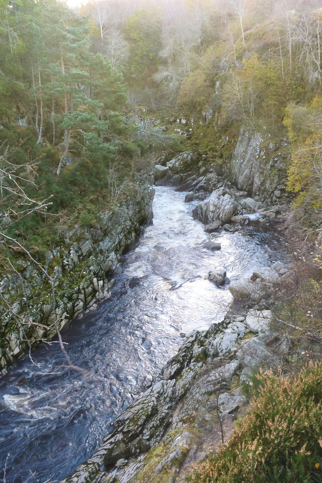 Kajak, Fluss Findhorn, Abschnitt Oberlauf - Dulsie Bridge (Top Section)