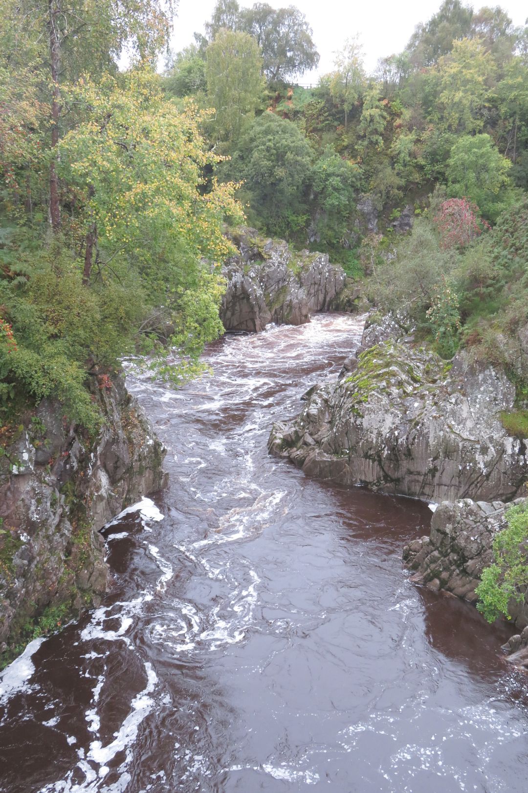 Kajak, Fluss Findhorn, Abschnitt Oberlauf - Dulsie Bridge (Top Section)